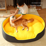 Fur Lane: Washable Back Support Bed